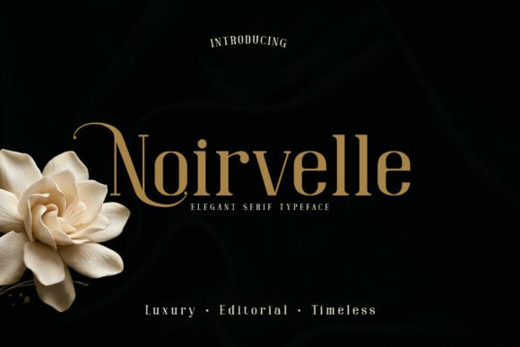 Choosing the Right Font for Your Brand: How Noirvelle Elevates Your Design
