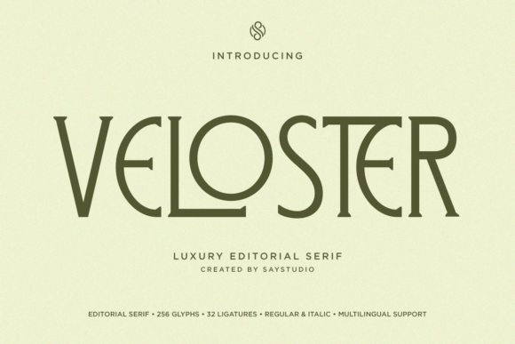Veloster: A Serif Font That Elevates Brand Campaigns